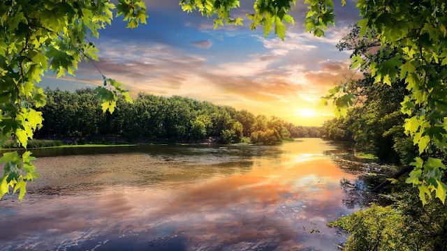 Beautiful reflection of sunset in the forest river