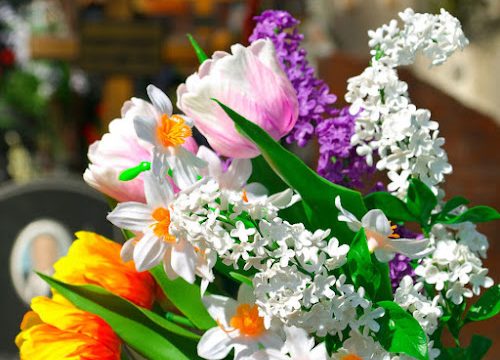 54746278 – flowers and cemetery on background