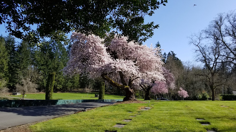 Forest Lawn Cemetery