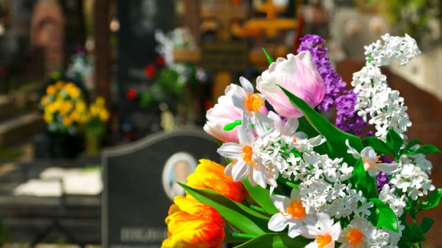 54746278 – flowers and cemetery on background